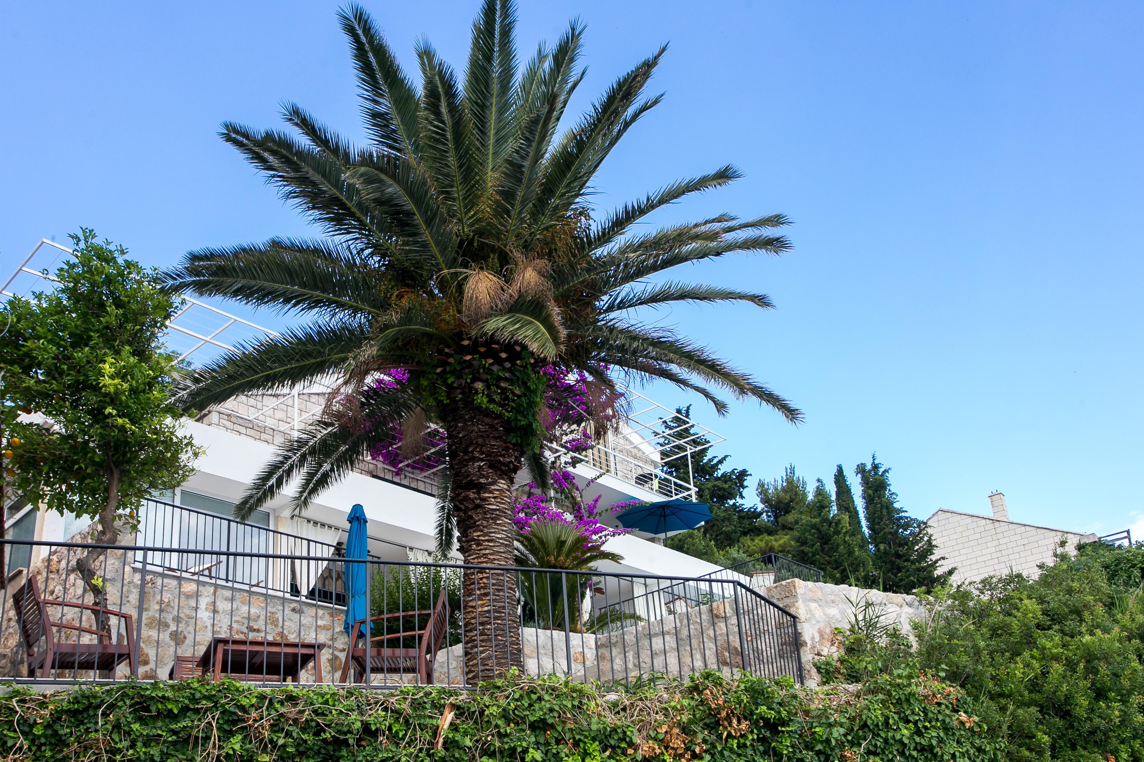 מליני Apartments Villa Mirjana מראה חיצוני תמונה